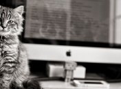 Испанцы тратят ежедневно по 2 часа на проверку электронной почты