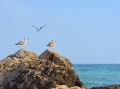 Следующая неделя августа начнется с жары до +33°