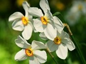 Акулинин день: приметы и обряды на 20 апреля