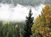 Прячем панамки: прогноз погоды на завтра, 14 сентября 