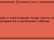 Колобок повесился: вечерние анекдоты 1 сентября