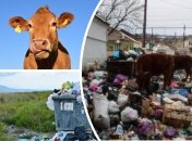 Російське місто тоне у смітті