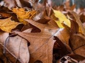 Какой праздник 17 ноября: народные приметы и запреты