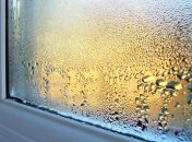 Мокрые окна – проблема холодного сезона