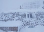 Совсем не похоже на март: разбушевавшаяся в Украине метель попала на фото и видео