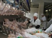 Беларусь запретила ввоз птицы из ряда регионов стран