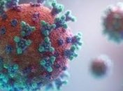 Ученые выяснили уникальную особенность "африканского" коронавируса 