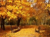 Прогноз погоды в Украине на 24 ноября: ожидается солнечная погода, местами снег