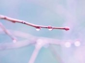 Прогноз погоды в Украине на сегодня: солнечно, местами дождь