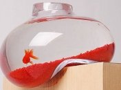 Необычный дизайн аквариумов (Фото) 