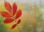 Прогноз погоды в Украине на 21 октября: преимущественно дожди