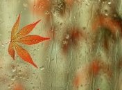 Прогноз погоды на 20 октября: в большинстве регионов пройдут дожди