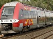 Во Франции поезд врезался в дерево, десятки людей получили ранения