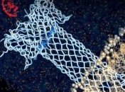 Ученые исследовали токсин аэролизин и превратили его в биосенсор
