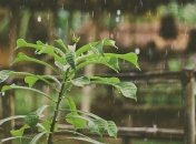 Синоптики попереджають про грози та град