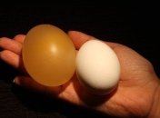 Невероятный научный эксперимент с яйцом и уксусом (Видео)