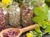 Травы, которые помогут при желчнокаменной болезни