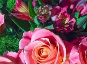 СМС поздравления с днем рождения на 11 июня