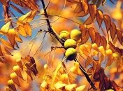 Лунный посевной календарь с 30 сентября по 6 октября 2019 года