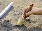 Украинские археологи нашли возможное захоронение князя Чорторыйского