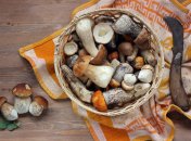 Топ-5 секретов как правильно чистить грибы