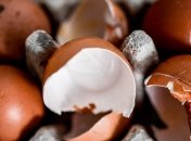 "Яичный скандал": Нидерланды будут проверять качество курятины