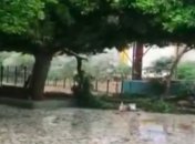 Ветер сносил все на своем пути: на Анталию обрушился ураган, есть жертва (видео)