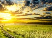 Прогноз погоды в Украине на 4 июля: солнечно почти во всех областях