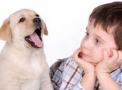 Домашние животные провоцируют возникновения храпа