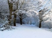 Прогноз погоды в Украине на сегодня: ожидают снег