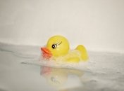 Игрушки могут стать рассадником плесени