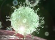 В Нидерландах растет количество инфицированных COVID-19