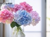 Букет гортензий