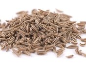 Тмин - вкусная специя и лекарство