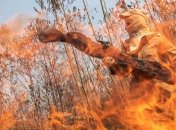 Президент Бразилии ляжет под нож вместо саммита по пожарам Амазонии