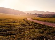 Украинцы против рынка земли, даже молодежь 