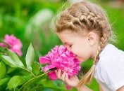 Ученые разработали электронный нос, позволяющий обнаружить пестициды