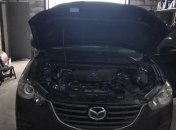 Воры элитных авто: В Киевской области раскрыли незаконную группировку