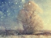 Укргидрометцентр: Снег в Украине будет идти до пятницы