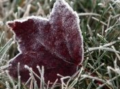 Синоптики сообщили, когда в Украину придут первые заморозки