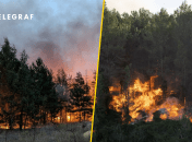 Знищено понад три сотні будинків: на Харківщині півсела згоріло під час масштабної пожежі (фото, відео)