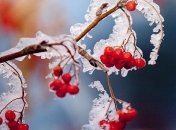 Арктический воздух принесет похолодание: на смену снегопадам придут морозы