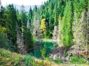 В Карпатах из-за оползня исчезло озеро: фото