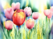 Короткие поздравления с 8 марта 2020:  для мам, бабушек, подруг, коллег