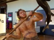 Homo erectus возможно не были против зерна в рационе
