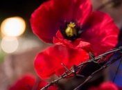 Сегодня в Украине День скорби и чествования памяти жертв войны