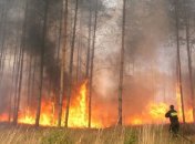 Португалия попросила у ЕС помощи в тушении лесных пожаров