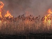 В Польше горит крупнейший национальный парк, пожары охватили 6000 гектаров (Фото и видео)