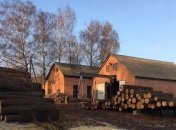 На Харьковщине чиновники подозреваются в незаконных вырубках почти на 100 млн