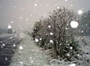 Погода в Украине на 13 декабря: сильный ветер, мокрый снег с дождем
